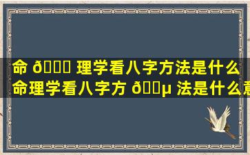 命 🐘 理学看八字方法是什么「命理学看八字方 🌵 法是什么意思」